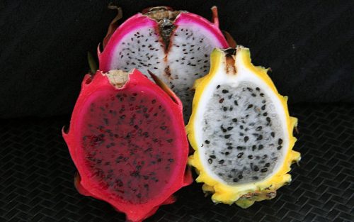 Como comer Pitaya, a fruta dragão que tem benefícios, mas pode dar até diarreia